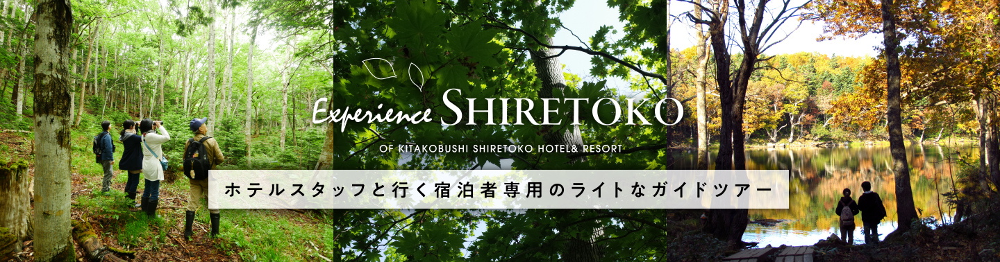 Experience SHIRETOKO OF KITAKOBUSHI SHIRETOKO HOTEL & RESORT ホテルスタッフと行く宿泊者専用のライトなライトなガイドツアー
